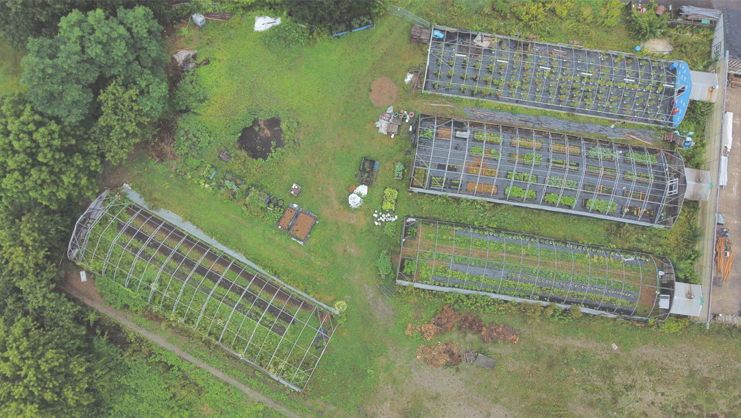 Overhead view of greenhouses